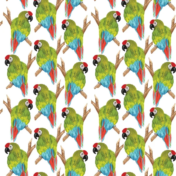 Akvarel Tropické Bezešvné Vzor Jasně Zeleným Papouškem Větvi Stromu Izolované — Stock fotografie