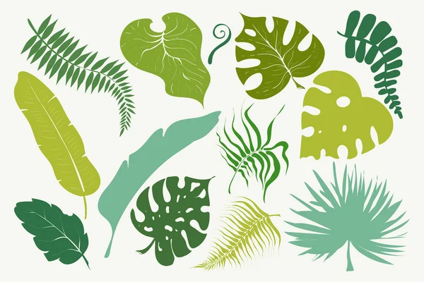 Conjunto Verano Hojas Verdes Tropicales Palmeras Árboles Elementos Hoja Selva — Vector de stock