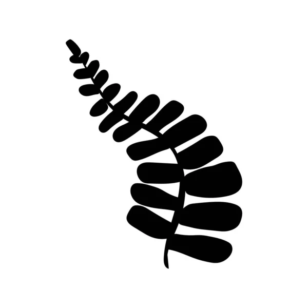 Été Silhouette Noire Feuilles Tropicales Palmier Élément Arbre Isolé Sur — Image vectorielle