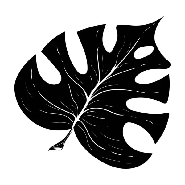 Été Silhouette Noire Feuilles Tropicales Palmier Élément Arbre Isolé Sur — Image vectorielle