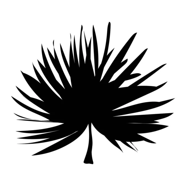 热带树叶 棕榈和树木元素的夏季黑色轮廓在白色背景下被隔离 在异国情调的树叶丛林中卡片 自然产品等的矢量图解设计 — 图库矢量图片