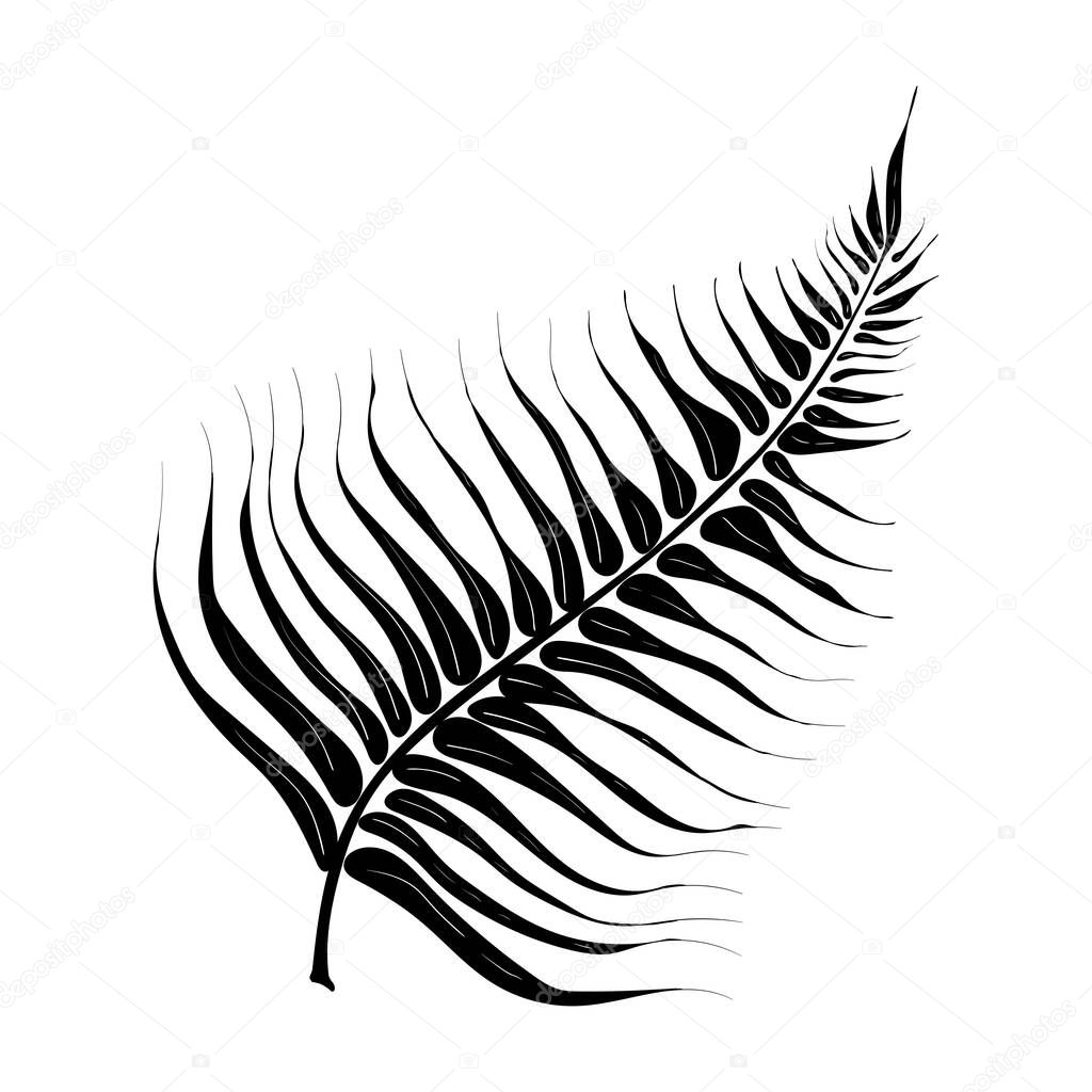 Summer black silhouette of tropical leaves palm and tree element isolated on white background. Jungle exotic leaf. Vector illustration design for cards, web, natural product ets.