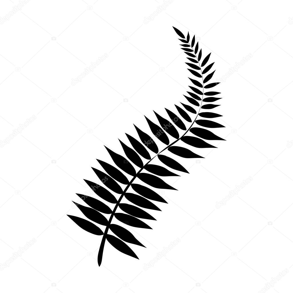 Summer black silhouette of tropical leaves palm and tree element isolated on white background. Jungle exotic leaf. Vector illustration design for cards, web, natural product ets.