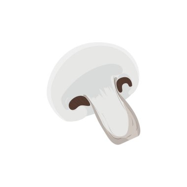 Beyaz arka planda izole edilmiş mantar şampiyonunun düz vektör stok simgesi çizimi. Poster, web sayfaları, kart, menü kapağı, dergi, kitap vs. için tasarım.