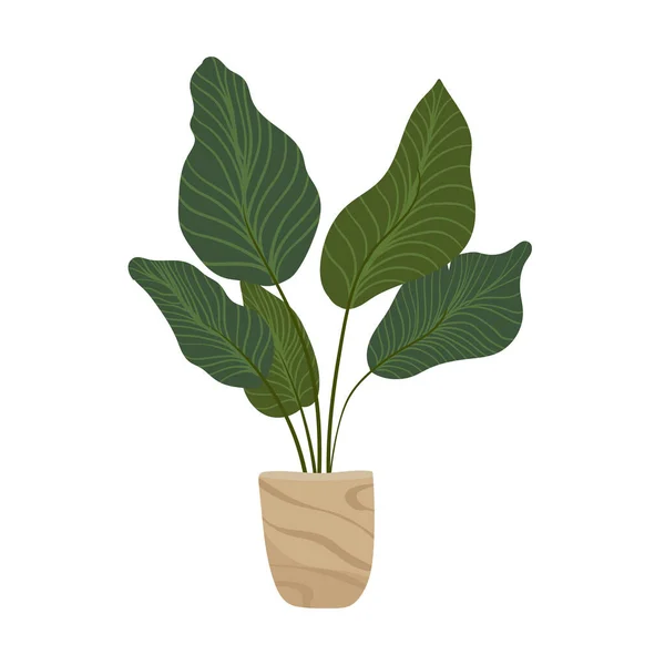 Plant Pot Vector Cartoon Platte Kleurrijke Illustratie Geïsoleerd Witte Achtergrond — Stockvector