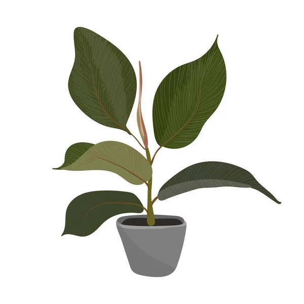 Plant Pot Vector Cartoon Platte Kleurrijke Illustratie Geïsoleerd Witte Achtergrond — Stockvector