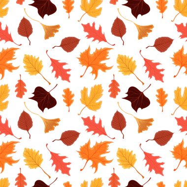 Renkli sonbahar parlak yaprakları beyaz arka planda izole edilmiş vektörsüz desen. Web sayfası arkaplan tasarımı, sonbahar tebrik kartları, duvar kağıdı, hediye kağıdı, kalıp doldurmaları vb..