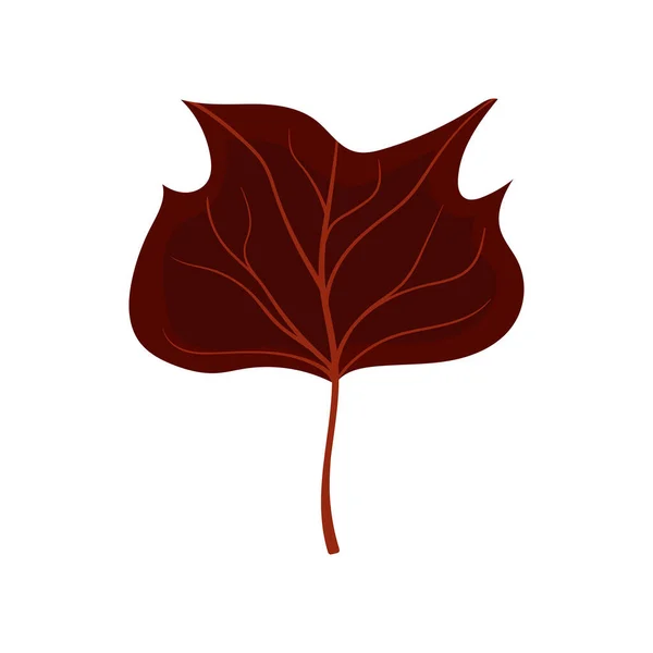 Hermosa Hoja Otoño Colorido Icono Follaje Otoño Ilustración Stock Vectorial — Vector de stock