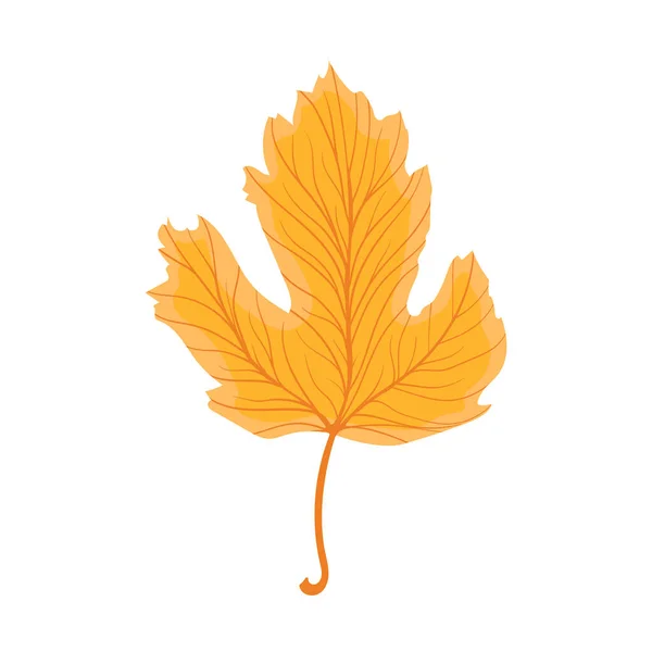 Hermosa Hoja Otoño Colorido Icono Follaje Otoño Ilustración Stock Vectorial — Vector de stock