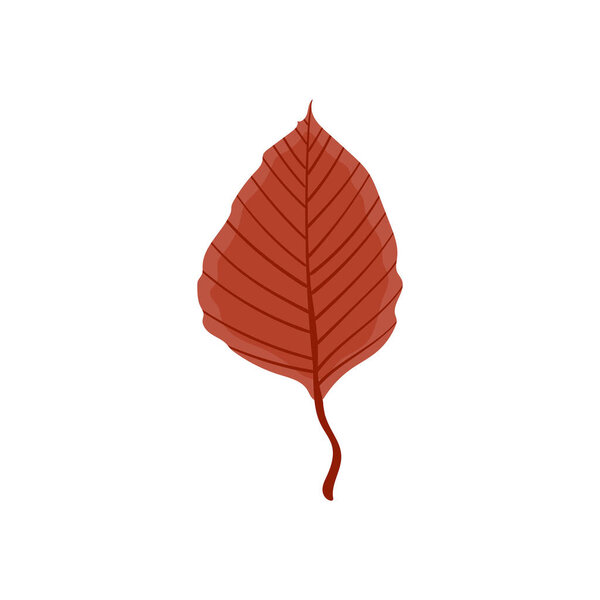 Beautiful colourful autumn leaf or fall foliage icon. Vector stock illustration isolated on white background. 
