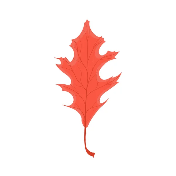 Hermosa Hoja Otoño Colorido Icono Follaje Otoño Ilustración Stock Vectorial — Vector de stock