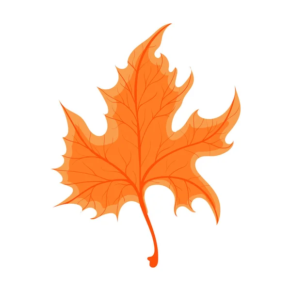 Hermosa Hoja Otoño Colorido Icono Follaje Otoño Ilustración Stock Vectorial — Vector de stock