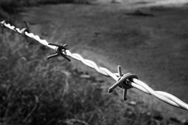 Keskin Dikenli Tel Çit Kenarlığı