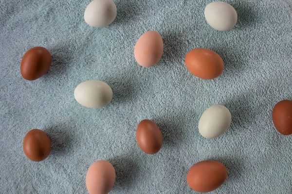 Mavi Arkaplanda Doğal Renkli Tavuk Yumurtaları