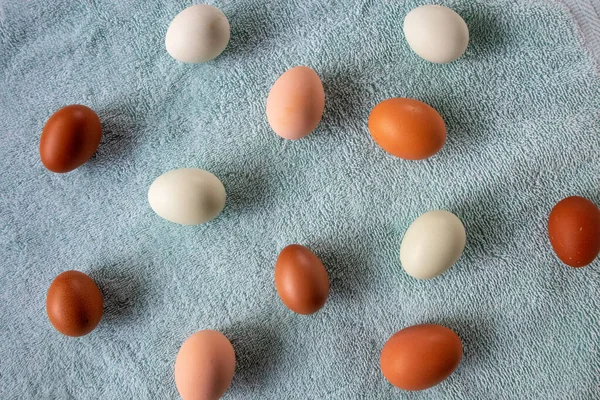 Mavi Arkaplanda Doğal Renkli Tavuk Yumurtaları
