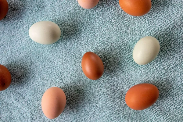 Huevos Pollo Naturalmente Coloridos Patrón Sobre Fondo Azul — Foto de Stock