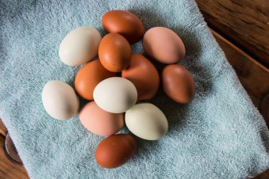 Mavi Mutfak Havlusunda Renkli Tavuk Yumurtaları Grubu