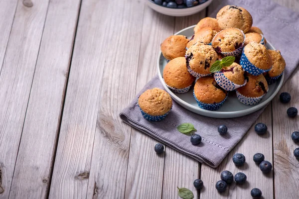 Yaban mersinli kek, sağlıklı ev yapımı tatlı çilek, kopya alan arka plan ile