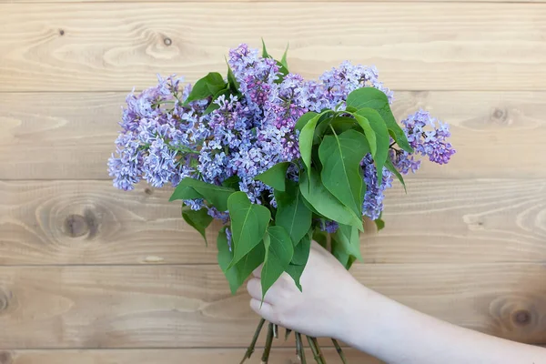 Gran Hermoso Ramo Primavera Lilas Mano Mujer Flores Lila Mayo — Foto de Stock