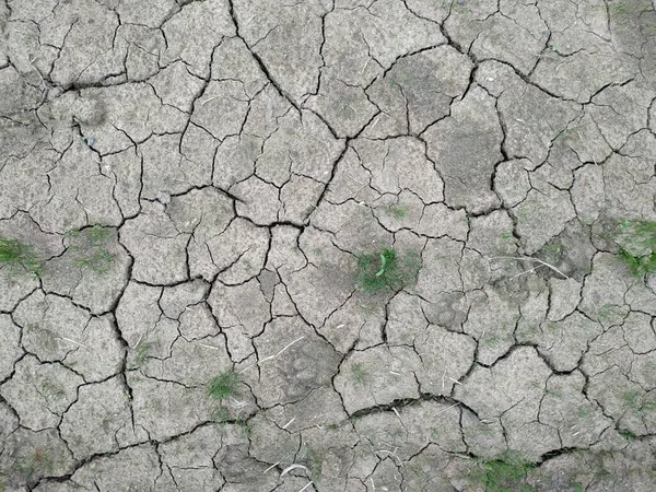 Dry soil texture on the ground