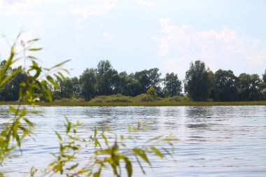 Yaz yeşili kırsal nehir manzarası. Kırsal nehir manzarası. Nehir sahnesi