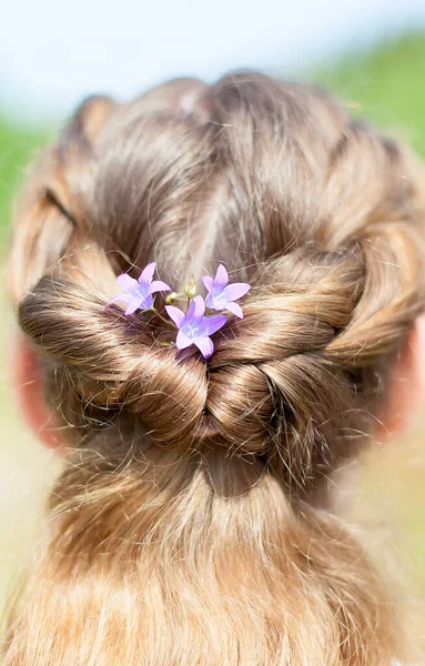 Hairstyle Greek braid on the head of a red hair woman back view close-up on a gray background.Fashionable professional women\'s hairdo.