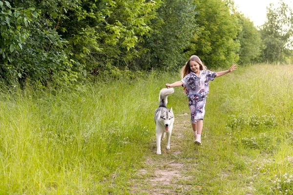 Girl Runs Together Husky Playing Fresh Air Walks Park — Stock Photo, Image