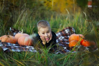 Küçük çocuk sonbaharda balkabağı çiftliğinde eğleniyor. Çocuk dev bir balkabağının üzerinde oturuyor. Balkabağı Amerikan bayramlarında kullanılan geleneksel bir sebzedir. Cadılar Bayramı ve Şükran Günü..