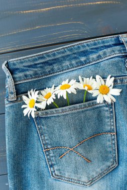 Kot pantolonumun cebindeki yaz çiçekleri mavi arka planda.