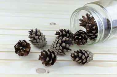 Üç köknar konisi, yakın plan. Yeni yıl, tatil detayları