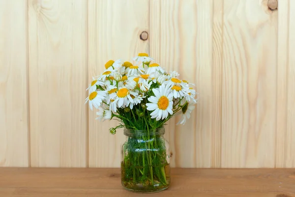 Camomile pharmacy flowers with green leaves isolated bouquet on white background
