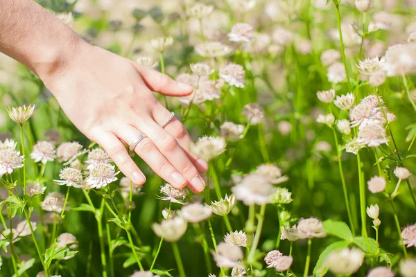 Die Hand Einer Jungen Frau Berührt Das Gras Und Die — Stockfoto