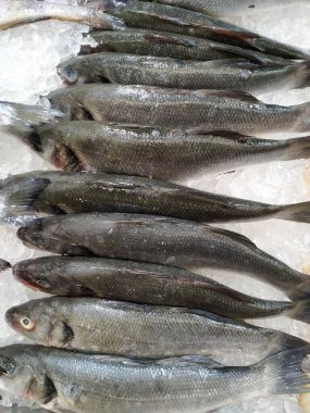 Süpermarkette buzlu alabalık kırmızı balığı. Çiğ somon balığı, buzlu deniz ürünleri dükkanında alabalık. Büyük somon familyasından taze alabalık eti. Vahşi deniz ürünleri Kırmızı biftek üst görünümü