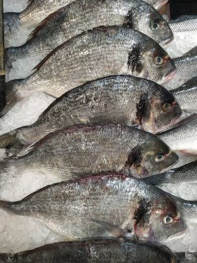 Çiğ balık pembe somon süpermarkette satılmaya hazır. Yakın plan çekim. Balık ürünleri olan bir vitrin.