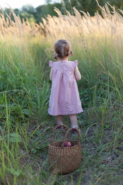 Egy Kislány Úton Búzamezőn Naplementekor Úton Sétálva Háttal Kamerának Távolba — Stock Fotó