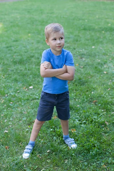 Маленький Хлопчик Парку Стоїть Галявині Склав Руки — стокове фото