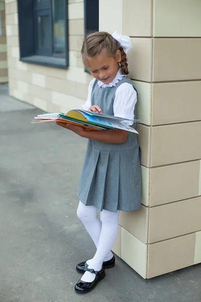 Menina Bonito Uniforme Escolar Lendo Livros Perto Escola — Fotografia de Stock