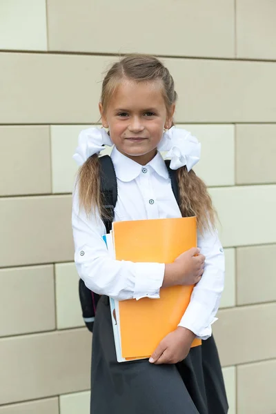 Little Girl Braids Notebooks Goes School September Education Day Knowledge — Stock Photo, Image