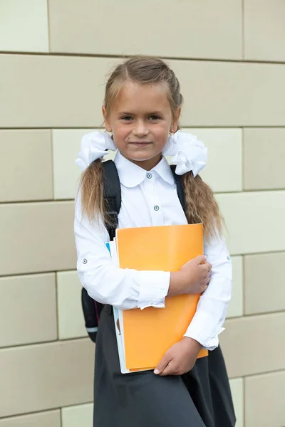 Ein Kleines Mädchen Mit Zöpfen Und Heften Geht September Die — Stockfoto