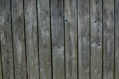 Eskimiş kahverengi ahşap zemin, grunge tarzında koyu doğal ahşaptan yapılmış. Yukarıdan manzara. Kozalaklı çam ağacının doğal ham düzlemli dokusu. Düz atış yapmak için masanın yüzeyi yatıyordu. Boşluğu kopyala