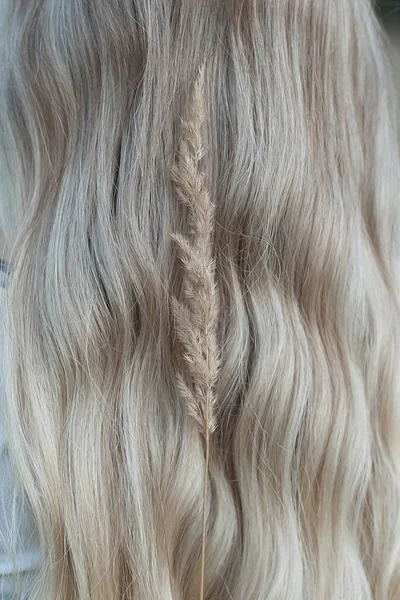 长长的金发卷发上的麦穗 — 图库照片