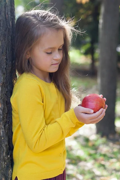 Ein kleines Mädchen in gelber Jacke und kastanienbraunem Rock steht im Park und hält reife Granatäpfel in der Hand. Farbenspiel. — Stockfoto