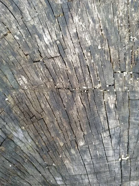 Sfondo texture in legno marrone. texture in legno con motivo naturale. vecchio legno texture sfondo. — Foto Stock