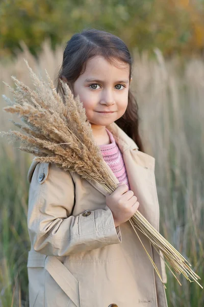 Kleines Mädchen Einem Weizenfeld Mädchen Mit Ähren Den Händen Bild — Stockfoto
