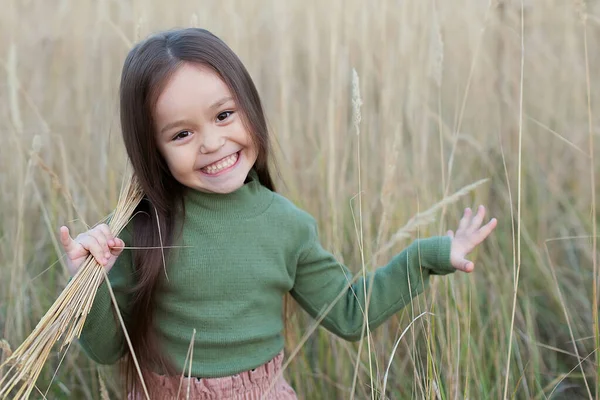 Menina Cabelos Escuros Bonita Verão Campo Floração Lupine Com Buquê — Fotografia de Stock