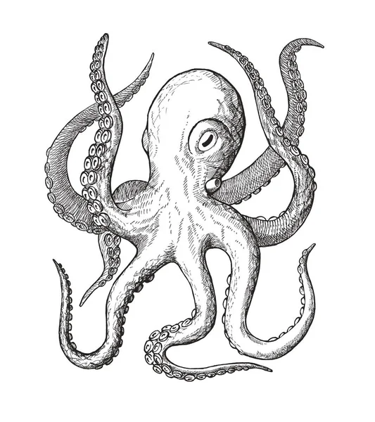 Octopus, decorative monochrome vintage ink hand drawing — Stock Photo, Image