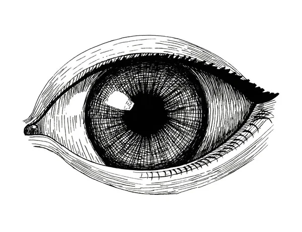 广泛开放的眼睛, 老式墨水手绘插图 — 图库照片