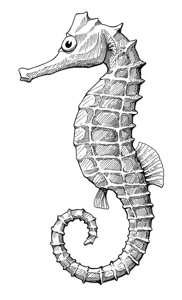 Seahorse, black and white vintage ink hand drawn illustration — Stock Photo, Image