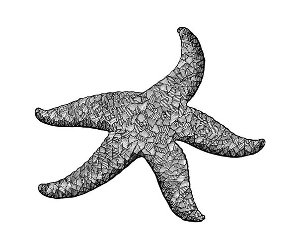 Starfish, hand drawn stylized ink vintage illustration — Stock Photo, Image