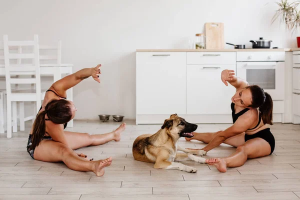 Two girls go in for sports at home in the kitchen, a dog is running nearby. Women are stretching. Fitness at home. High quality photo